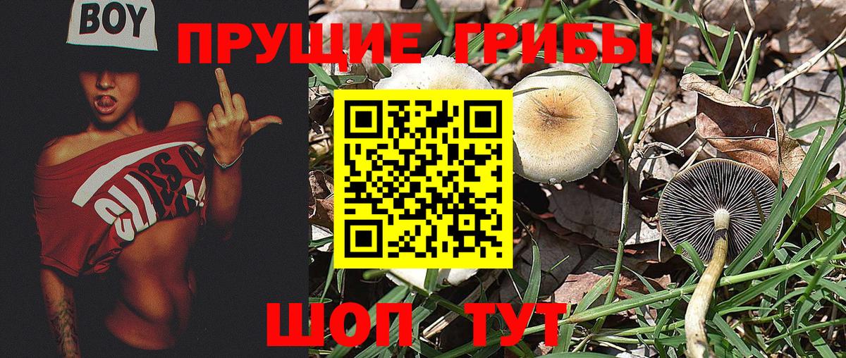 Галлюциногенные грибы мицелий Лабытнанги